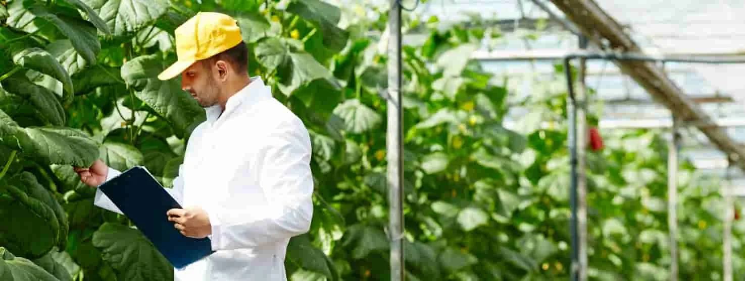 La importancia de la sostenibilidad en la industria de la alimentación y el desarrollo de prácticas éticas de producción.